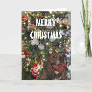 Pitbull God jul-hälsningskort Helgkort