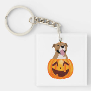 Pitbull Halloween