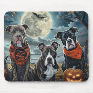Pitbull Halloween Spooky Musmatta