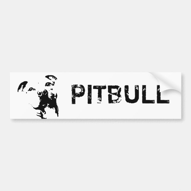 Pitbull hund bildekal (Framsidan)
