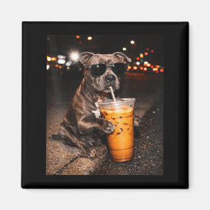 Pitbull hund dricker iskaffe med solglasögon magnet