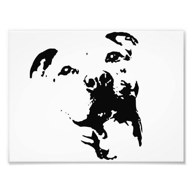 Pitbull Hund Fototryck (Framsidan)