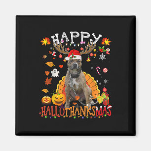 Pitbull Hund Halloween jul Hund Lycklig Hallotha Magnet
