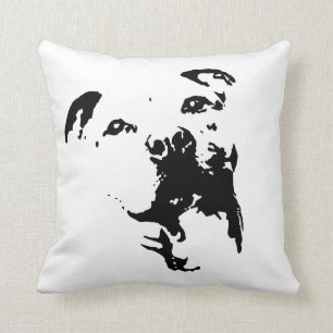 Pitbull hund kudde