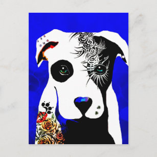 Pitbull-hund med tatueringar och piercingar vykort
