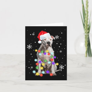 Pitbull Hund Merry Dogmas Santa Pitbull jul T Kort