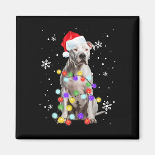Pitbull Hund Merry Dogmas Santa Pitbull jul T Magnet
