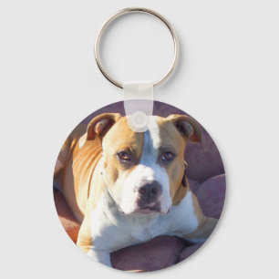 Pitbull hund nyckelring