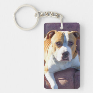 Pitbull hund nyckelring