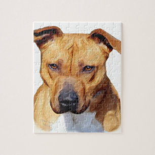 Pitbull hund pussel