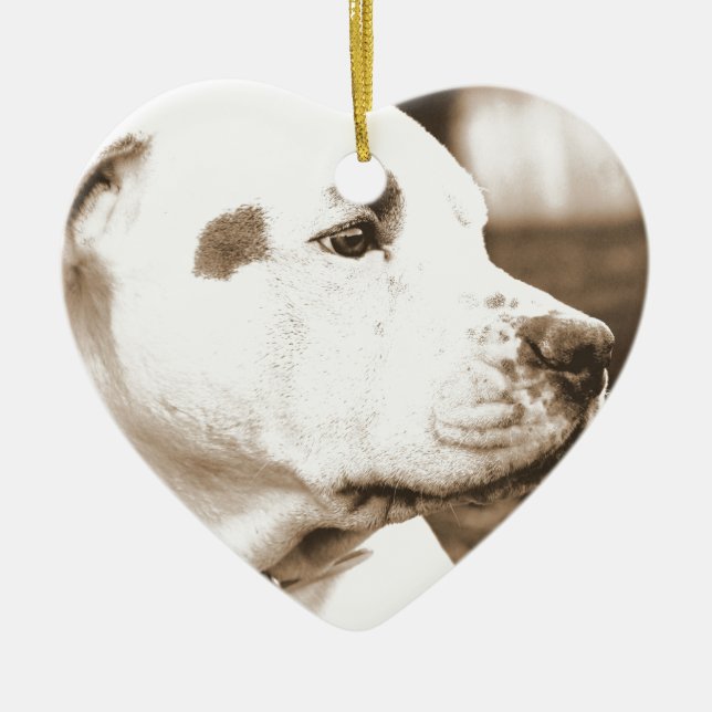 pitbull hund sepia färg hat dåd inte ras julgransprydnad keramik (Framsidan)