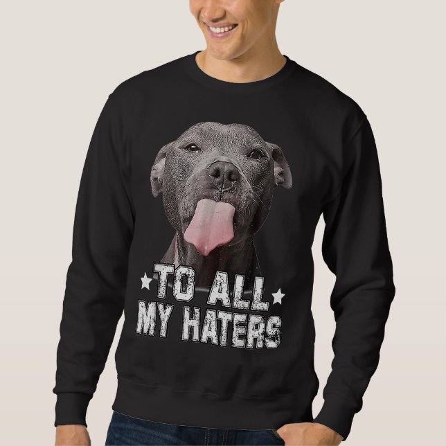 Pitbull Hund till alla mina hatare. Lång Ärmad Tröja (Framsida)