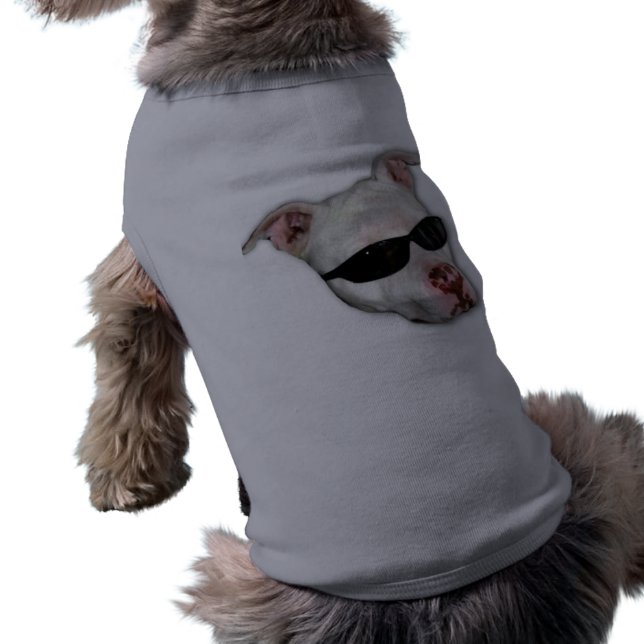 Pitbull hund tröja (Baksidan)