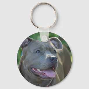 Pitbull hundkeychain nyckelring