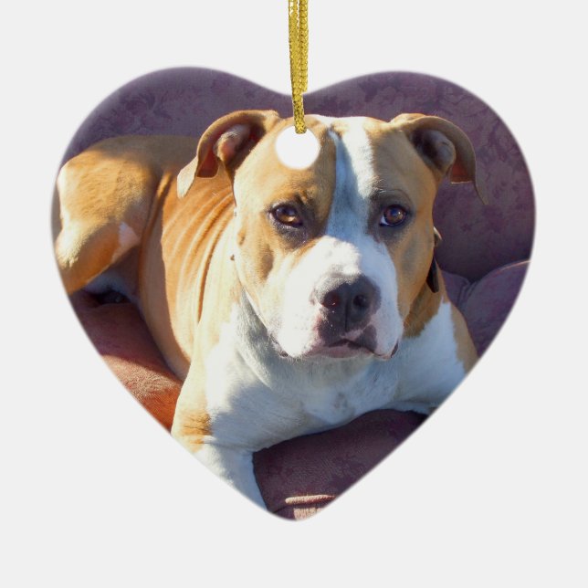 Pitbull hundprydnad julgransprydnad keramik (Framsidan)