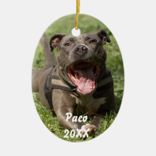 Pitbull i gräs julgransprydnad keramik