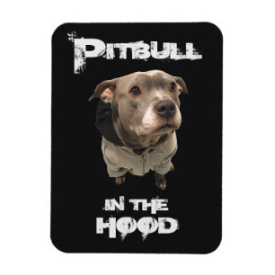 Pitbull in Huva Magnet