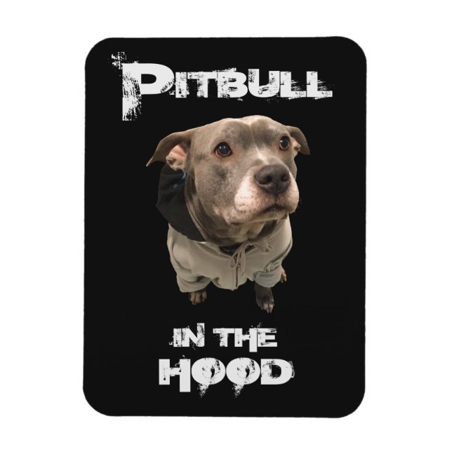 Pitbull in Huva Magnet (Vertikal)