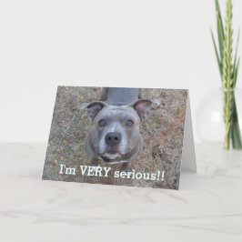 Pitbull Jag är ett allvarligt Fars dag-kort Kort