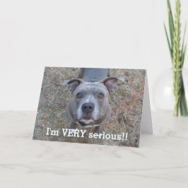 Pitbull Jag är ett allvarligt Fars dag-kort Kort