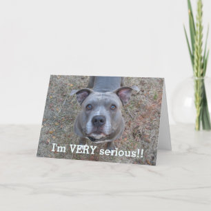 Pitbull Jag är ett allvarligt Fars dag-kort Kort