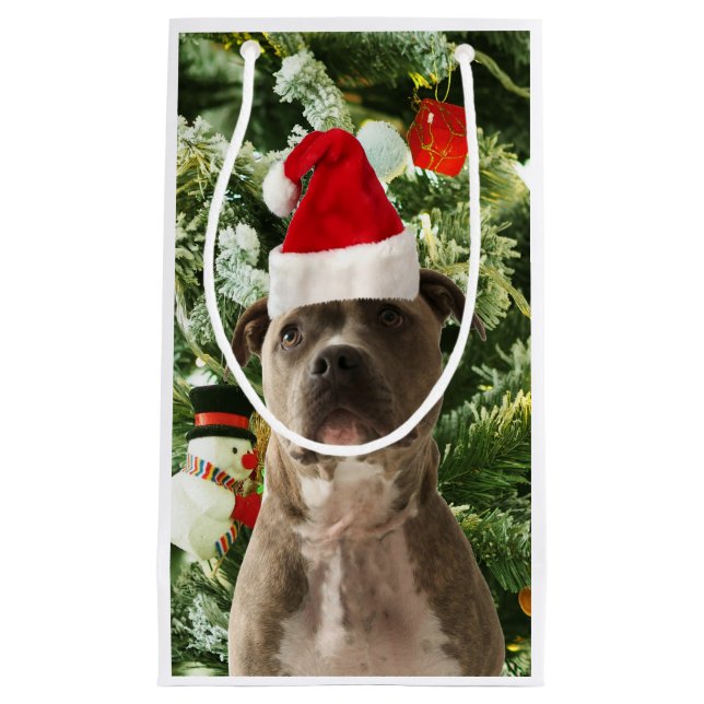 Pitbull Julgran Ornaments Snögubbe (Framsidan)