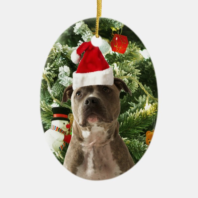 Pitbull Julgran Ornaments Snögubbe Julgransprydnad Keramik (Framsidan)
