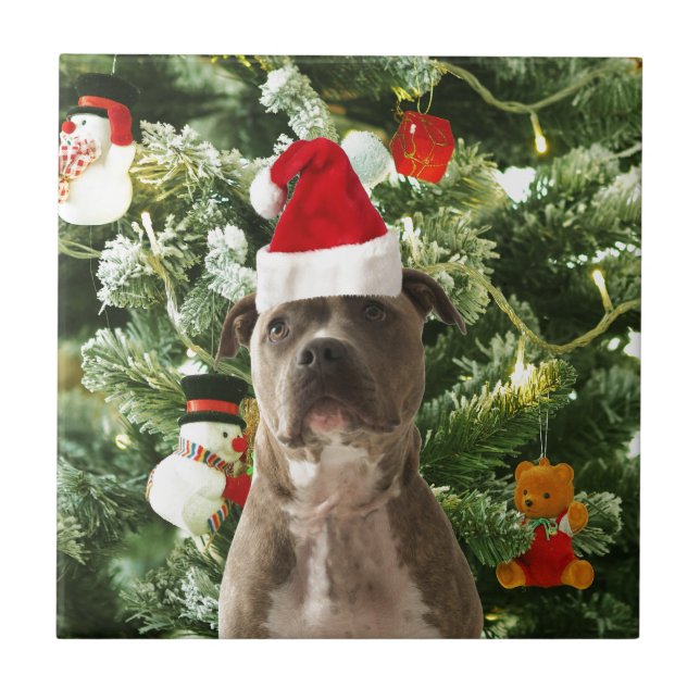 Pitbull Julgran Ornaments Snögubbe Kakelplatta (Framsidan)