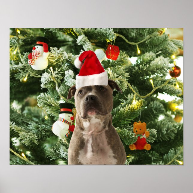 Pitbull Julgran Ornaments Snögubbe Poster (Framsidan)