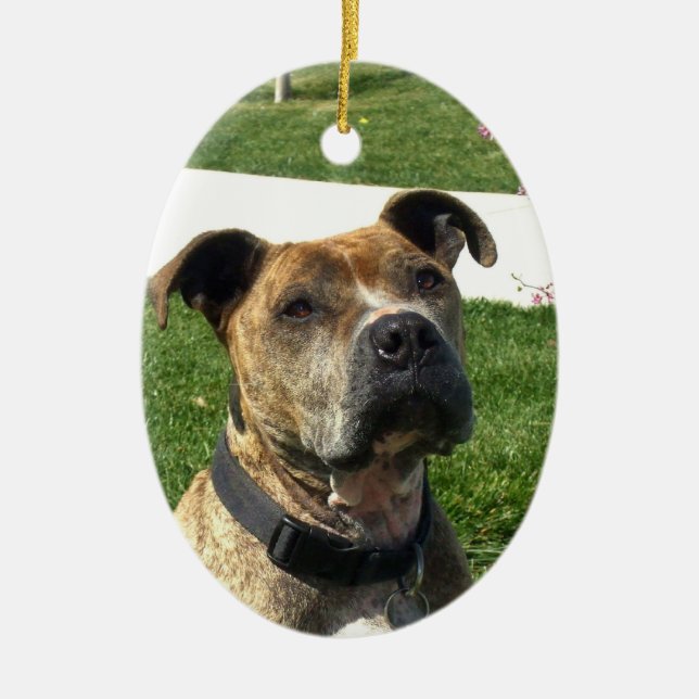 Pitbull Julgransprydnad Keramik (Framsidan)