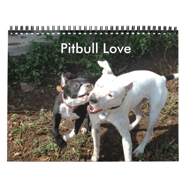 Pitbull Kärlek Kalender (Omslag)