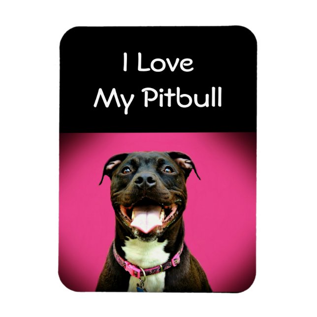 Pitbull Kärlek Magnet (Vertikal)