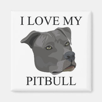 PITBULL Kärlek! Magnet