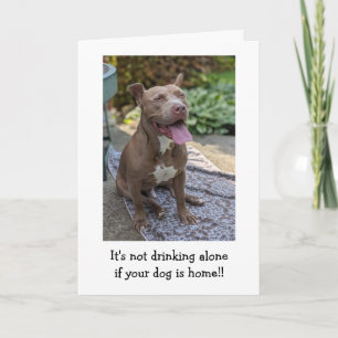 Pitbull Kärlek Roligt Kort