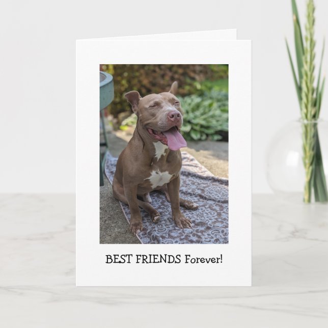 Pitbull Kärlek Tänker på Dig Kort (Framsida)