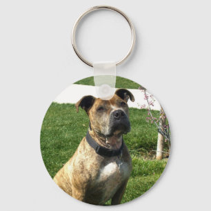 Pitbull keychain nyckelring