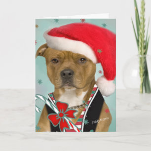 Pitbull-klänningar för Santa Helgkort