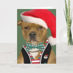 Pitbull-klänningar för Santa Helgkort