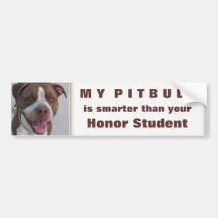 Pitbull lek med mig bildekal