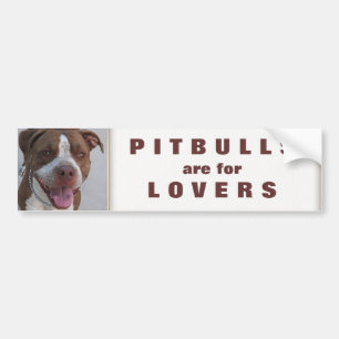 Pitbull leker med mig bildekal