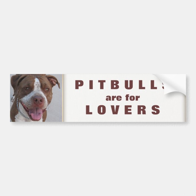 Pitbull leker med mig bildekal (Framsidan)