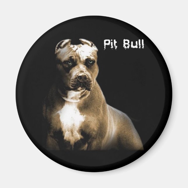 PITbull Magnet (Framsidan)