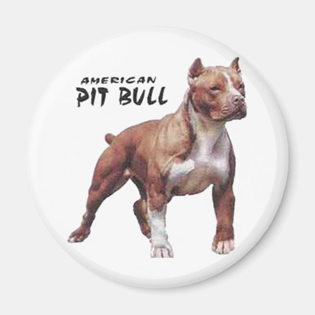 Pitbull Magnet (Framsidan)