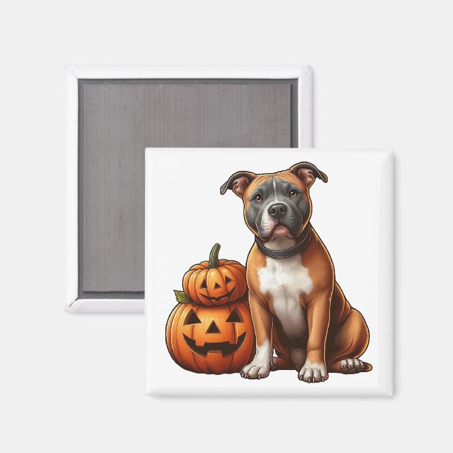 Pitbull med Halloween Pumpkins Magnet (Front/Back)