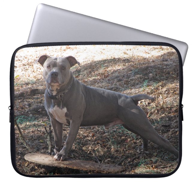 Pitbull med Skateboard Laptop sleeve (Framsidan)