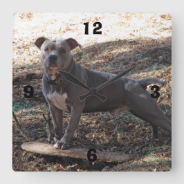 Pitbull med Skateboard-numrerat väggklocka
