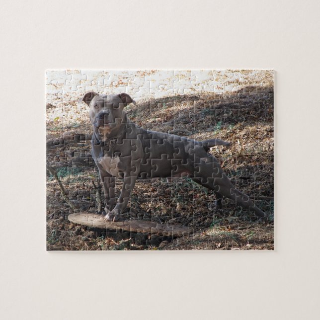 Pitbull med Skateboard Puzzle Pussel (Horisontell)