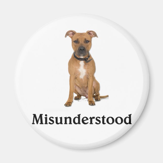 Pitbull - missförstådd magnet (Framsidan)