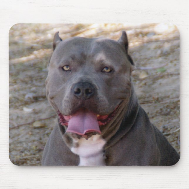 Pitbull Mousepad Musmatta (Framsidan)