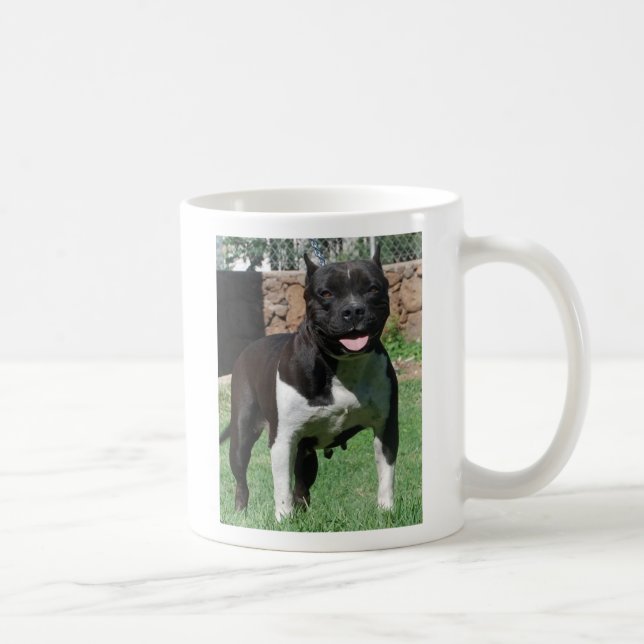 Pitbull mugg (Höger)
